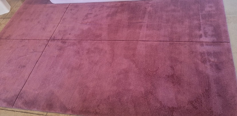 Limpieza de alfombras asequible en Nueva York.